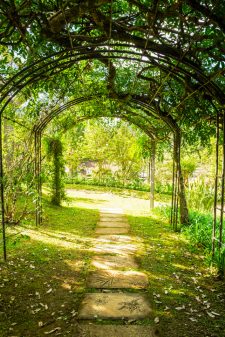 Arch green soft natural path walkway